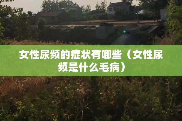 女性尿频的症状有哪些（女性尿频是什么毛病）