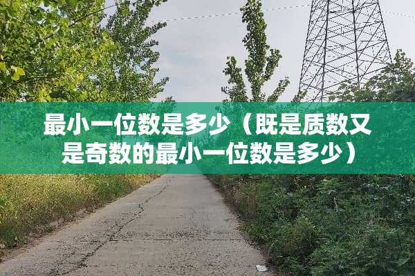 最小一位数是多少（既是质数又是奇数的最小一位数是多少）