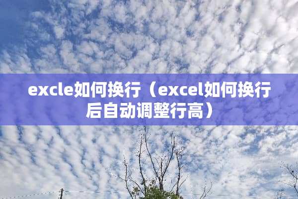 excle如何换行（excel如何换行后自动调整行高）