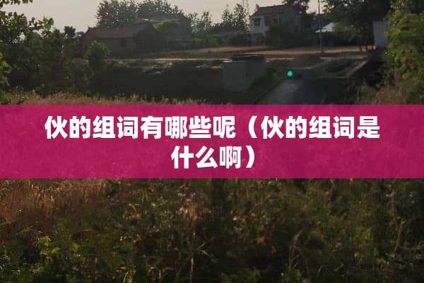 伙的组词有哪些呢（伙的组词是什么啊）