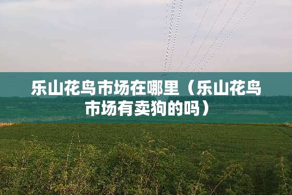 乐山花鸟市场在哪里（乐山花鸟市场有卖狗的吗）