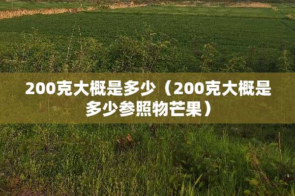 200克大概是多少（200克大概是多少参照物芒果）