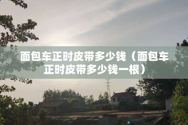 面包车正时皮带多少钱（面包车正时皮带多少钱一根）