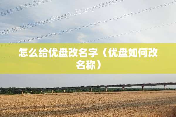 怎么给优盘改名字（优盘如何改名称）