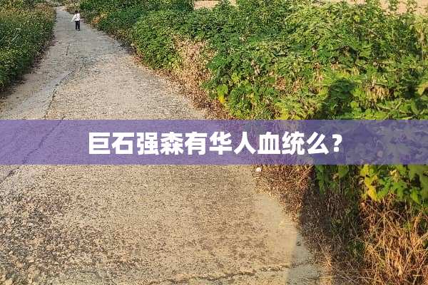 巨石强森有华人血统么？
