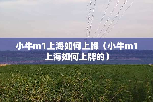 小牛m1上海如何上牌（小牛m1上海如何上牌的）