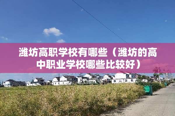 潍坊高职学校有哪些（潍坊的高中职业学校哪些比较好）