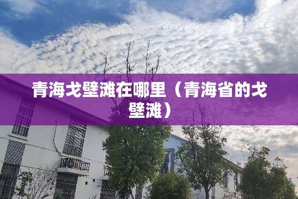 青海戈壁滩在哪里（青海省的戈壁滩）