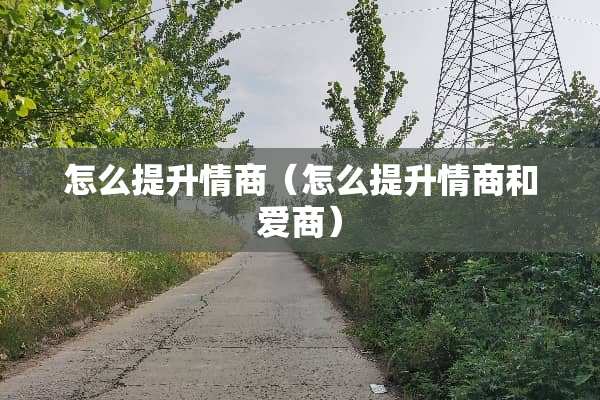 怎么提升情商（怎么提升情商和爱商）
