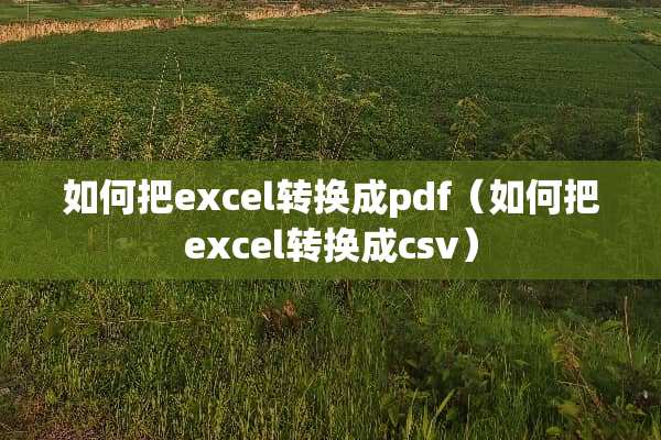 如何把excel转换成pdf（如何把excel转换成csv）