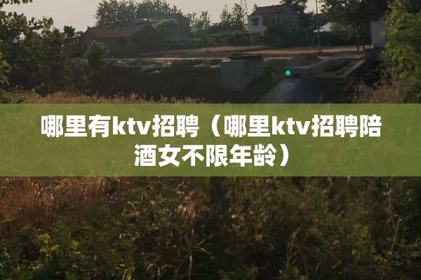 哪里有ktv招聘（哪里ktv招聘陪酒女不限年龄）