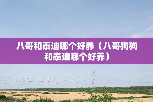 八哥和泰迪哪个好养（八哥狗狗和泰迪哪个好养）