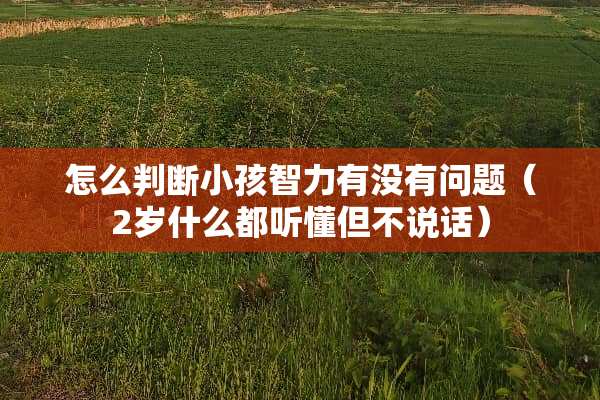 怎么判断小孩智力有没有问题（2岁什么都听懂但不说话）
