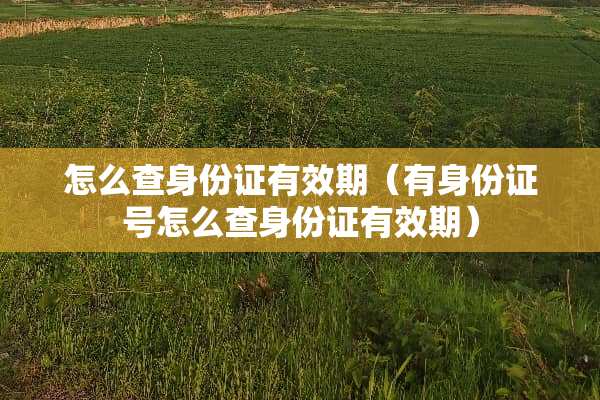 怎么查***有效期（有***号怎么查***有效期）
