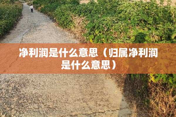 净利润是什么意思（归属净利润是什么意思）
