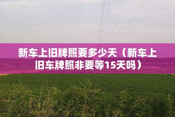 新车上旧牌照要多少天（新车上旧车牌照非要等15天吗）