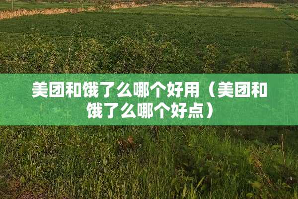 美团和饿了么哪个好用（美团和饿了么哪个好点）