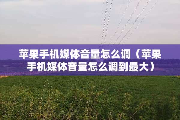 苹果手机媒体音量怎么调（苹果手机媒体音量怎么调到最大）