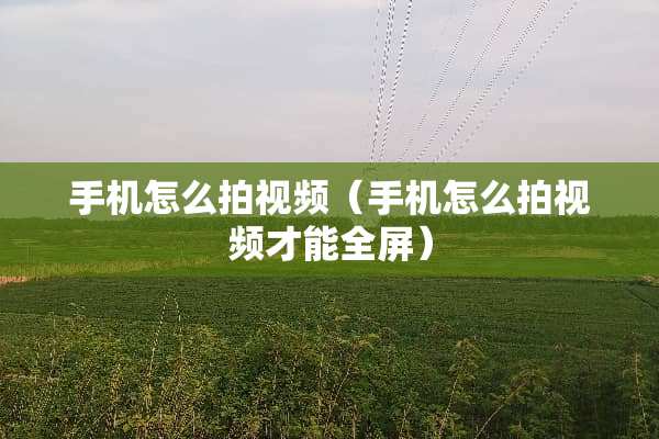 手机怎么拍视频（手机怎么拍视频才能全屏）