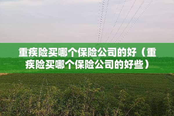 重疾险买哪个保险公司的好（重疾险买哪个保险公司的好些）