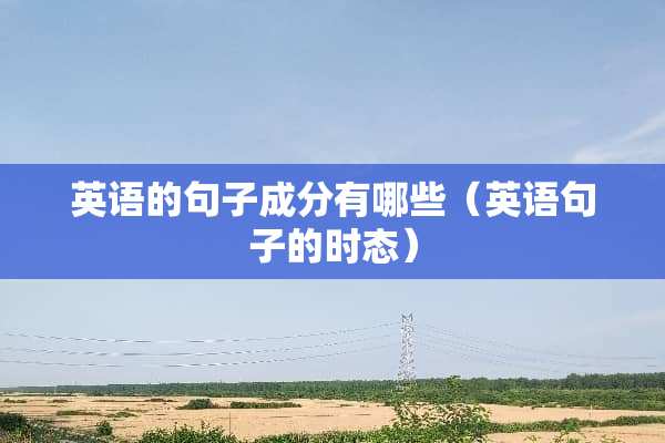 英语的句子成分有哪些（英语句子的时态）