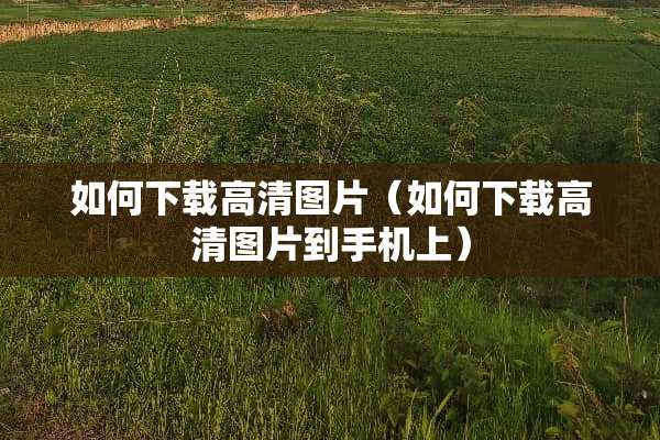 如何下载高清图片（如何下载高清图片到手机上）