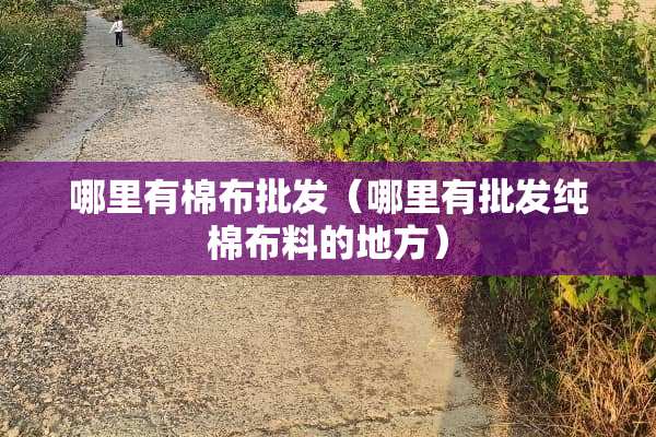 哪里有棉布批发（哪里有批发纯棉布料的地方）