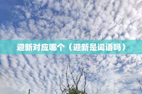 迎新对应哪个（迎新是词语吗）