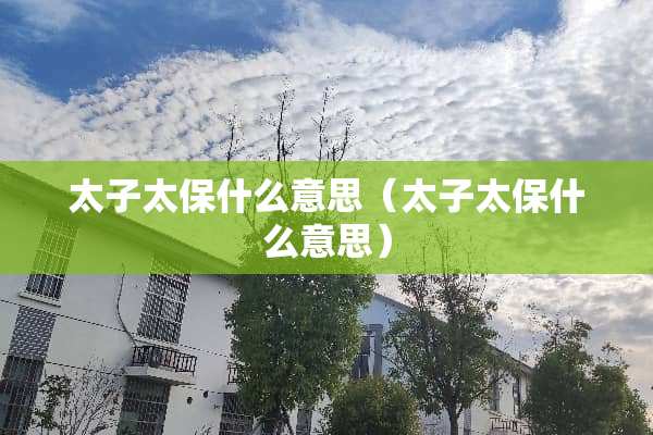太子太保什么意思（太子太保什么意思）