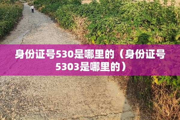 身份证号530是哪里的（身份证号5303是哪里的）