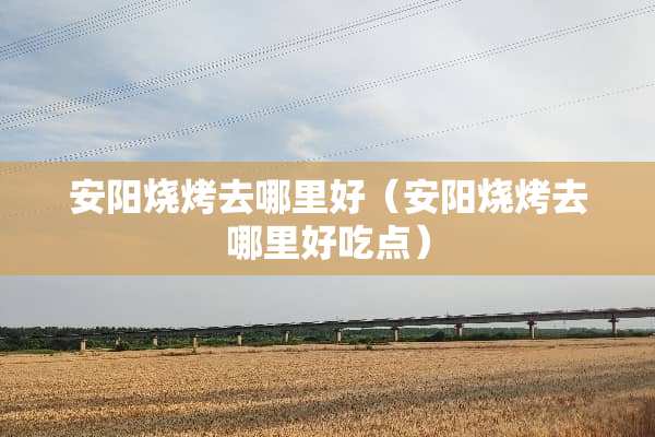 安阳烧烤去哪里好（安阳烧烤去哪里好吃点）