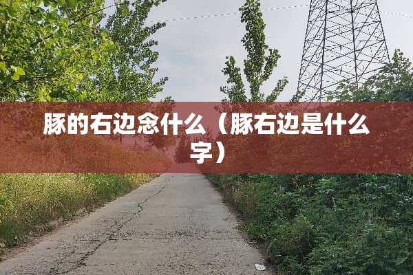 豚的右边念什么（豚右边是什么字）