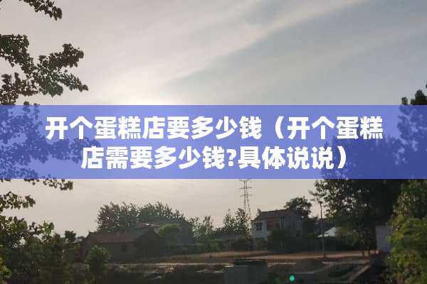 开个蛋糕店要多少钱（开个蛋糕店需要多少钱?具体说说）