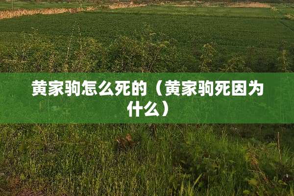 黄家驹怎么死的（黄家驹死因为什么）