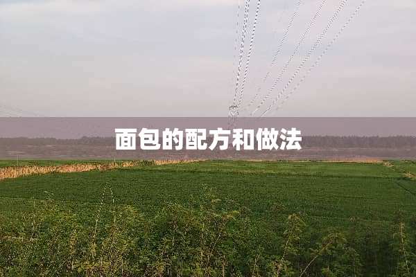 面包的配方和做法