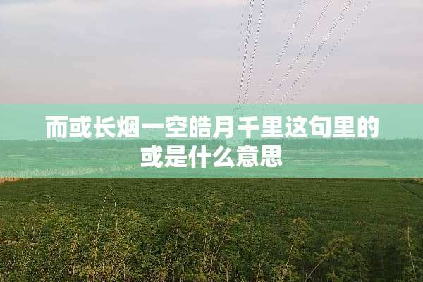 而或长烟一空皓月千里这句里的或是什么意思