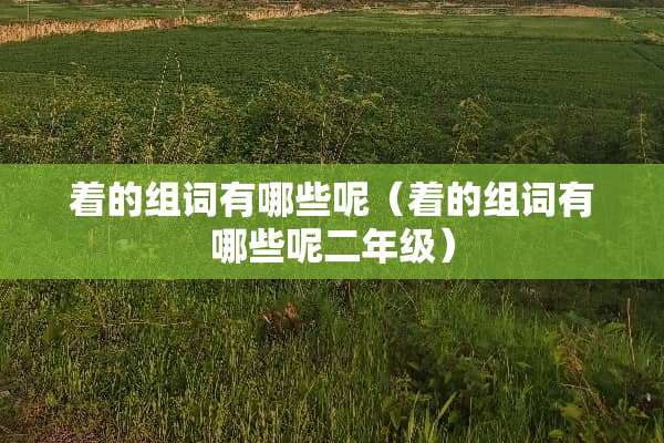 着的组词有哪些呢（着的组词有哪些呢二年级）