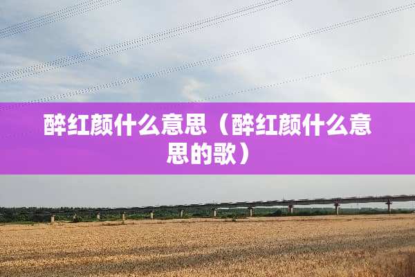 醉红颜什么意思（醉红颜什么意思的歌）