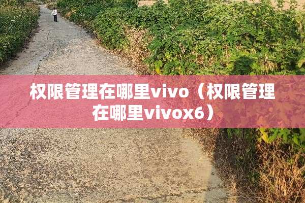 权限管理在哪里vivo（权限管理在哪里vivox6）
