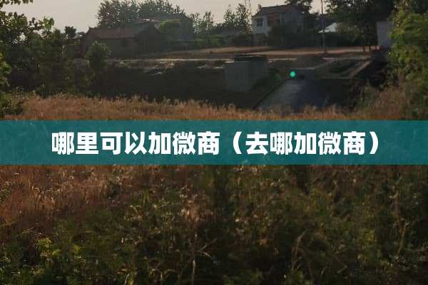哪里可以加微商（去哪加微商）