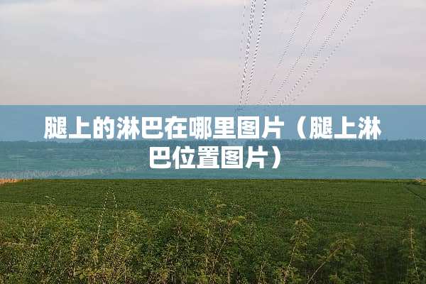 腿上的淋巴在哪里图片（腿上淋巴位置图片）