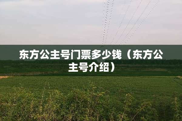 东方公主号门票多少钱（东方公主号介绍）