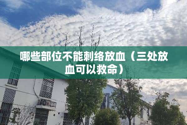哪些部位不能刺络放血（三处放血可以救命）
