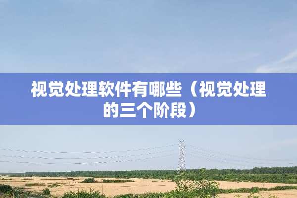 视觉处理软件有哪些（视觉处理的三个阶段）
