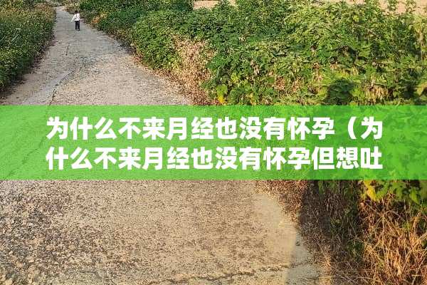 为什么不来月经也没有怀孕（为什么不来月经也没有怀孕但想吐恶心）
