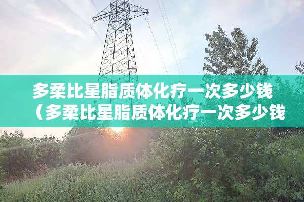 多柔比星脂质体化疗一次多少钱（多柔比星脂质体化疗一次多少钱多柔比）