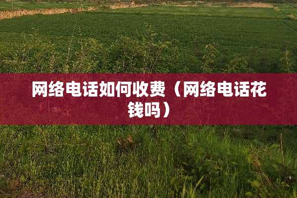 网络电话如何收费（网络电话花钱吗）