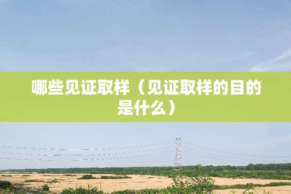 哪些见证取样（见证取样的目的是什么）