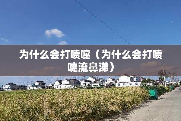 为什么会打喷嚏（为什么会打喷嚏流鼻涕）