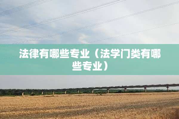法律有哪些专业（法学门类有哪些专业）